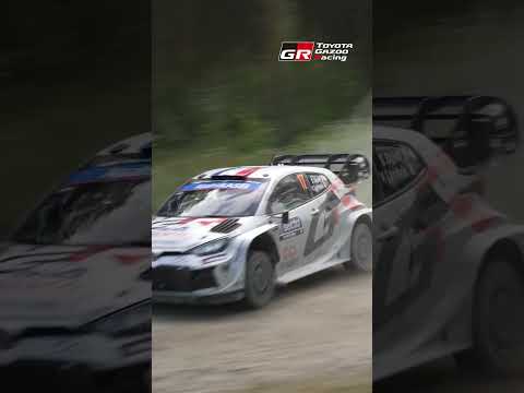 WRC 2025 Rd.9 Rally FINLAND SS5