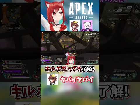 thumbnail_pkg94ilKDio