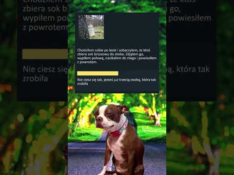 Nie rób TEGO w lesie! #shorts #memy #śmieszne #funny