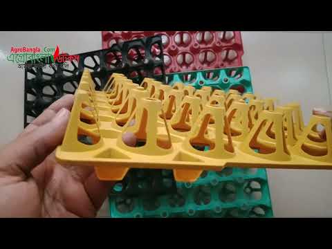 video Plastic Egg Tray