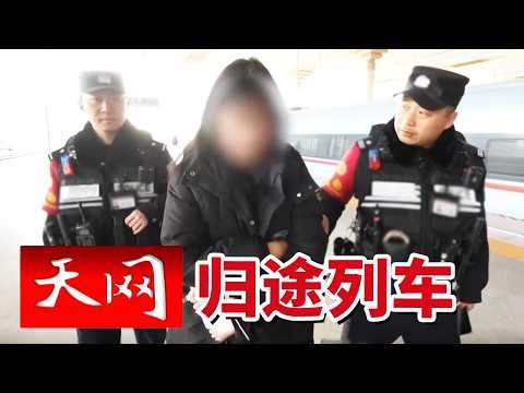 《天网》未成年女孩独自“网恋奔现” 醉酒顾客晕倒在站台 南京南站的“惊”与“险”该如何破局？20260310