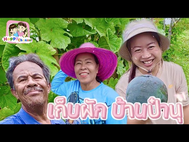 เก็บผัก บ้านป๋านุพี่เพยค่ะ มีแต่ของน่าทานทั้งนั้นเลย Happy Channel