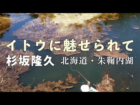 イトウに魅せられて　杉坂隆久・北海道朱鞠内湖        #GlassMaster  #flyfishing #グラスロッド #朱鞠内湖 #グラスロッド