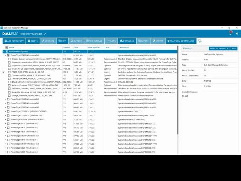 Dell Repository Manager 3.4 How To Use Delete Options