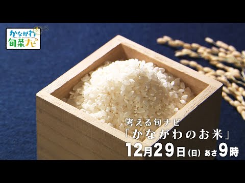 ウラナビ　12月29日放送：考える旬ナビ ～かながわのお米～