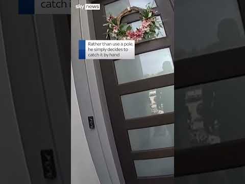 Gator snarls and hisses on doorstep
