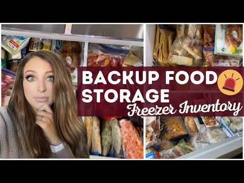 Backup Food Storage | Freezer Inventory | No Spend Challenge