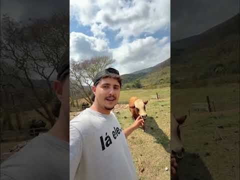 Conhecendo meus vacos kkk