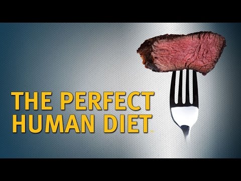 In Search of the Perfect Human Diet'