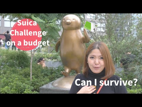 Suica challange on a budget in Tokyo