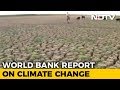 Climate change to dip India’s GDP by 2.8%: World Bank
