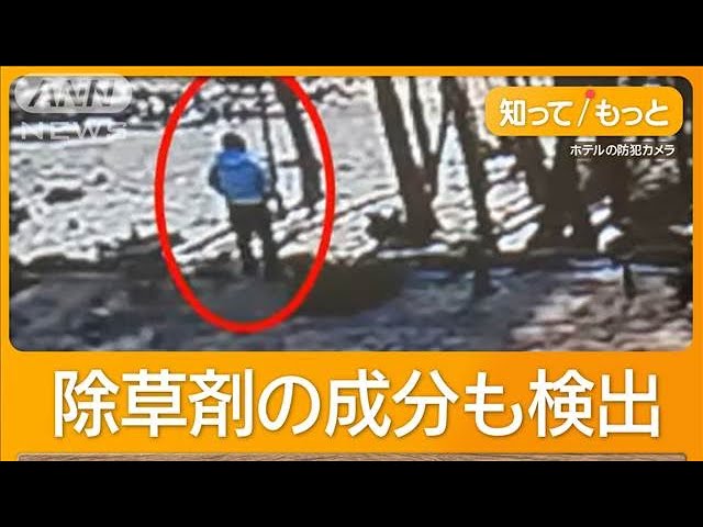 不滿富士山景色被擋！中國籍老闆「擅闖鄰居家砍樹」 獨留妻子逃出國