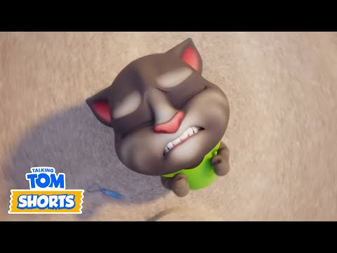 왜 그는 날 내버려 두지 않는 거야! | 말하는 톰 | 전체 에피소드 | Talking Tom