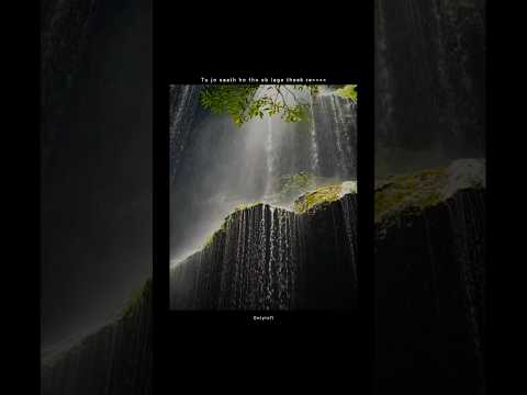 Preet Re✨🤎👀 - Dhadak 2 | Whatsapp status lyrics | #shorts #viralshorts