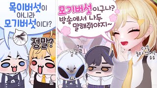 목이버섯이 왜 목이버섯인지 아시나요?