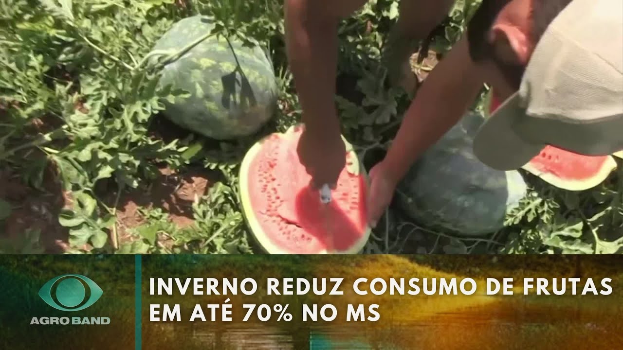 Giro Brasil alimentos no inverno agropecuárias de MG abate bovino