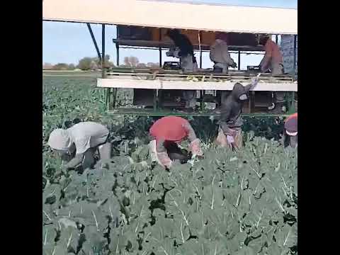 Harvesting and Producing with Modern Agricultural Technology |01.04
