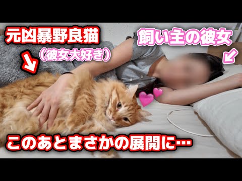彼女が泊まりにくると真っ先に添い寝しに行くオス猫が可愛すぎた…