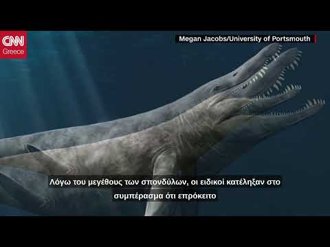 Το θαλάσσιο ερπετό – γίγας που ζούσε πριν από 152 εκατ. χρόνια | CNN Greece