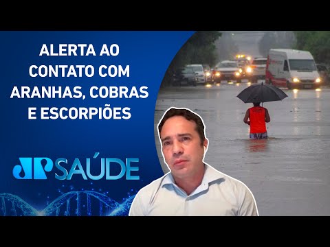 Enchentes no RS: Risco de acidentes com animais peçonhentos aumenta | JP SAÚDE