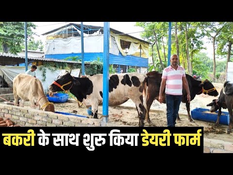 बकरी फार्म के साथ शुरू किया Dairy Farm | Dairy Farming In Bihar