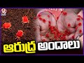 Arudra Worms Appears Exclusively After The First Rains In Farms Of Telangana  | V6 News