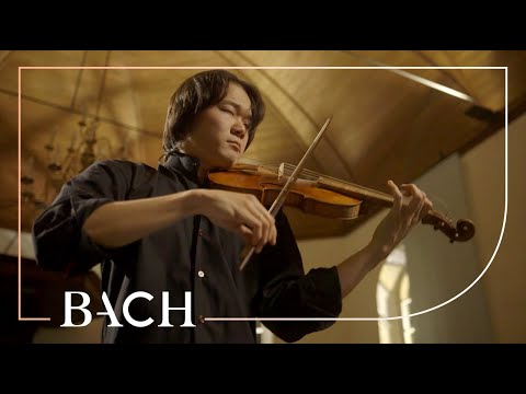Bach - Violin Partita No. 2 in D minor BWV 1004 - Sato | Netherlands Bach Society