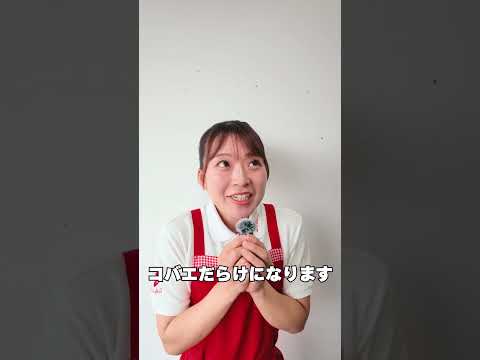「最近コバエを見かけるなぁ」と思ったら植物の足元を覗いてみてください。よかれと思ってお水を溜めておくのが、実は大変なことになっているかも？夏を快適に過ごすためのヒント、動画で解説しています🧸#ベアーズ