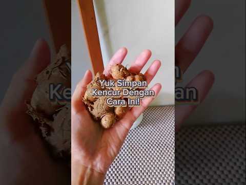 Cara Tradisional Bikin Kencur Awet Lama! 🌿✅