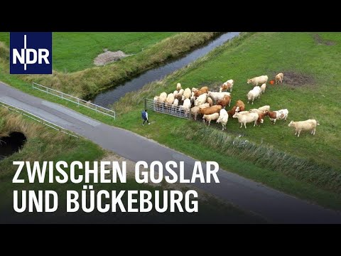 Unterwegs auf der Luftlinie – Von Goslar nach Bornum | NDR Doku