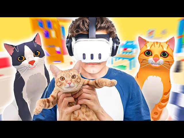EVİ KEDİLER BASTI! - iplusd VR
