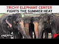 Tamil Nadu News | Trichy Elephant Center Fights The Summer Heat With Cooling Foggers
