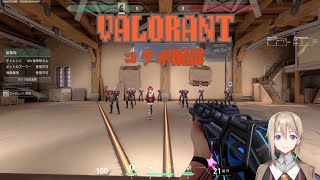 【VALORANT】2人で暴れます【霧雨秀一/紅花琥珀】