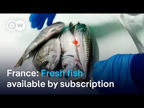 A seafood box sourced from local fishing | Focus on Europe