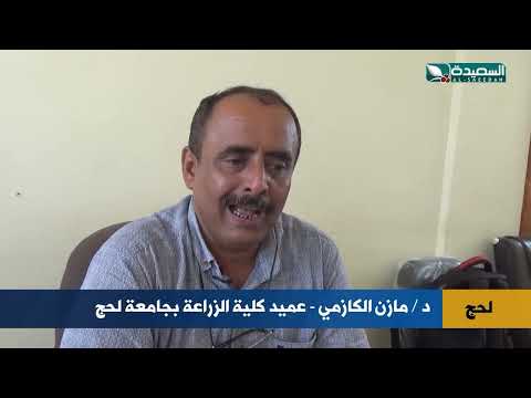 قناة السعيدة الفضائية