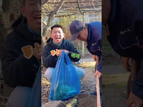 近嫁的好处,猜猜我们这一圈省了多少钱#情侣日常 #记录真实生活 #搞笑