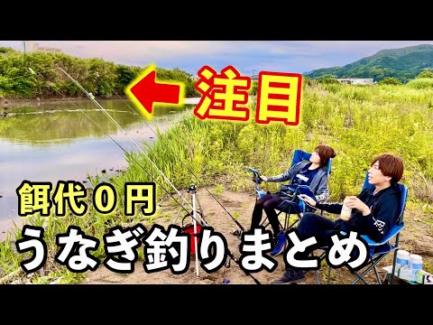 【餌代０円】気を抜いたら置き竿がブッ飛ぶ‼️うなぎ釣り動画まとめ