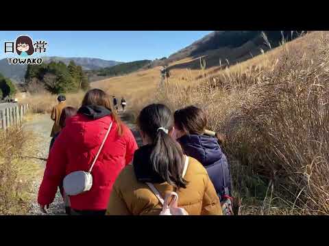 【小6とわ子/旅行】家族で箱根旅行① #仙石原 #すすき草原 #箱根 （2021年12月）