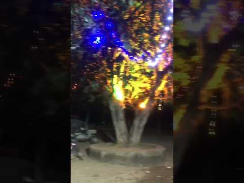 માલોત્રા ગામની નવરાત્રિ ની તૈયારી નવરાત્રિ સ્પેસલ આયોજન #navratri #navratispecialstatus #vlgos