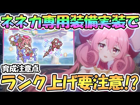 【プリコネR】ネネカ専用装備めちゃくちゃ強いけど今後のランク上げ要注意に！？育成注意点を解説【ネネカ】【専用装備】【３．５周年】