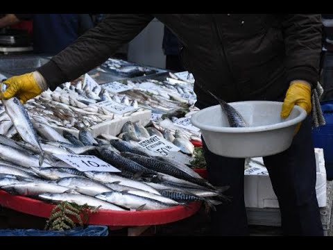 Sivas'ta soğuk hava, balığa talebi artırdı