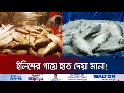 মাছে-ভাতে বাঙালির প্লেটে খুব কম সময়ই এখন মাছ জোটে! | Ramadan Bazar | Price Hike | Jamuna TV