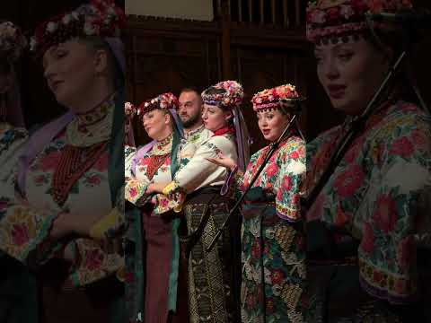 Сидит Юра коло мура ❤️🔥😏 «Коломийка» Gerdan Theatre на Spotify, AppleMusic, YouTube music