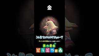 【あつ森】大金だけが置いてある部屋