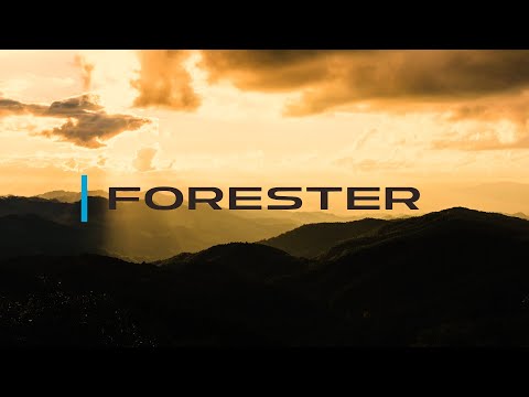 FORESTER History Video