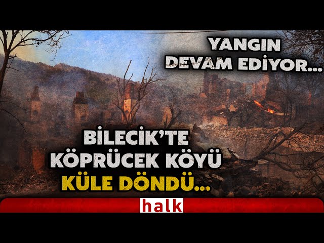 Bilecik'te yangın devam ediyor! Köprücek köyü alevlerin arasında kaldı: Küle döndü...