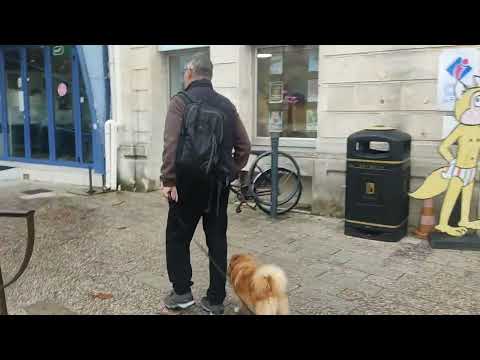 St Georges de didonne