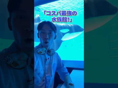 神戸須磨シーワールドを無料で楽しめる穴場情報と見どころ サムネイル