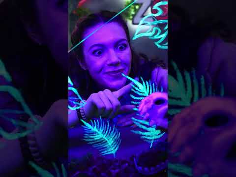 コーンスネークとアフリカカタツムリのためのテラリウム！