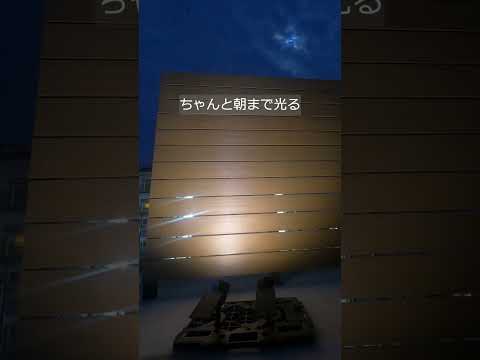 2年前の実験からずっと使ってて信頼できたので「追い購入」